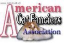 Photo: American Cat Fanciers Association (ACFA)